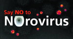 Norovirus = Food-borne Outbreaks