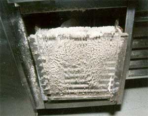 Food Safety Certification MN hints-dirty coils