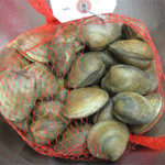 Servsafe MN tips for storing fresh shellfish
