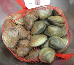 Servsafe MN tips for fresh shellfish storage