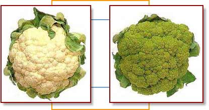 MN Certified Food Manager sub broccoli for cauliflower